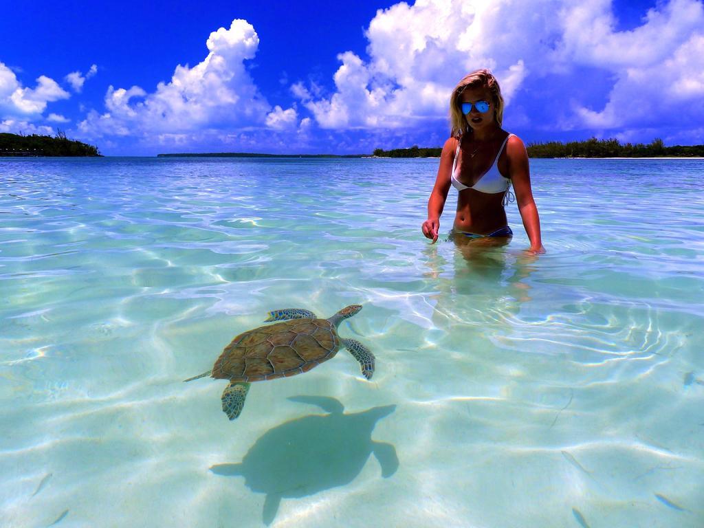 Bluff House Beach Resort & Marina Green Turtle Cay Ngoại thất bức ảnh